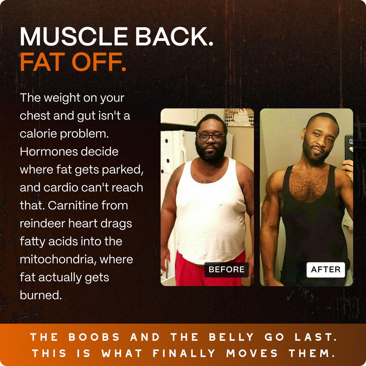 Natural Testosterone Booster